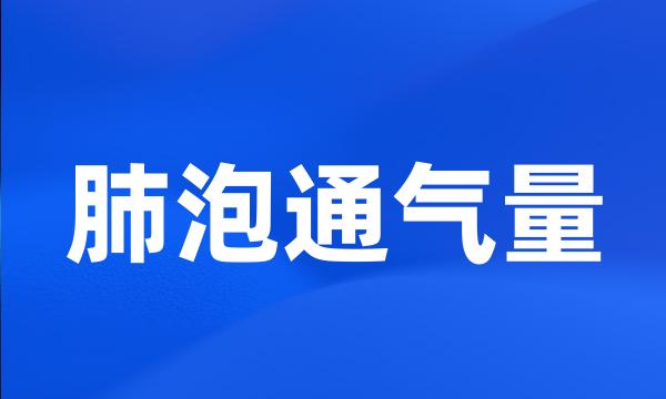 肺泡通气量