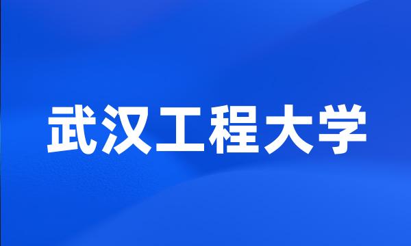 武汉工程大学