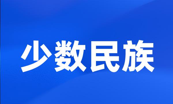 少数民族