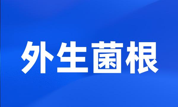 外生菌根