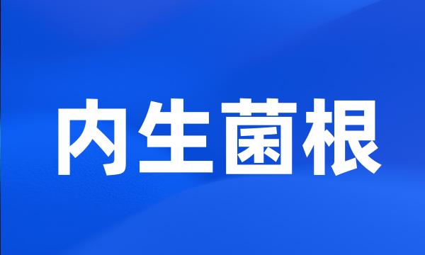 内生菌根