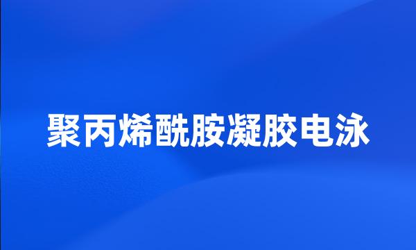 聚丙烯酰胺凝胶电泳