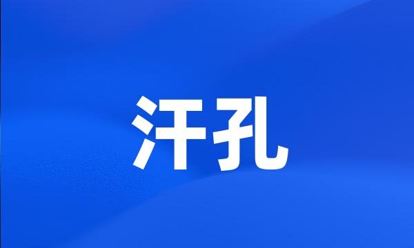 汗孔