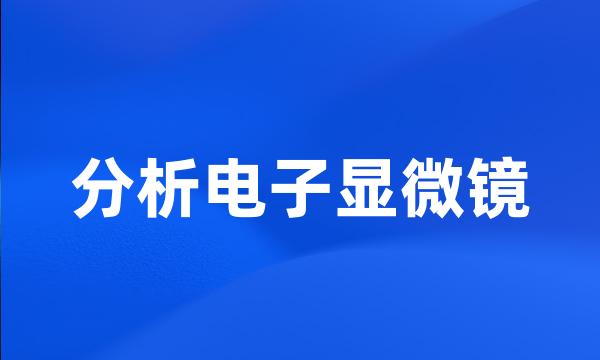 分析电子显微镜