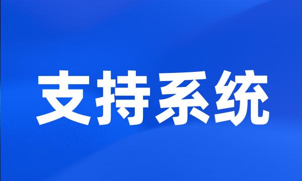 支持系统