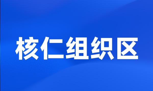 核仁组织区