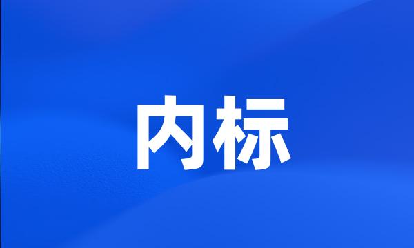 内标