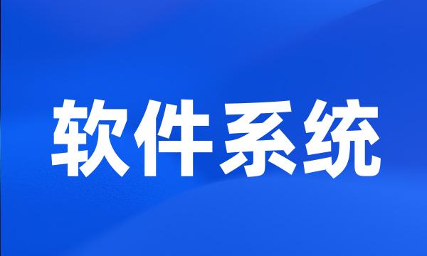 软件系统