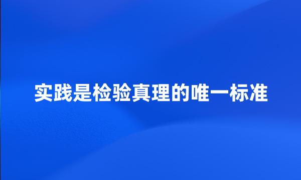 实践是检验真理的唯一标准