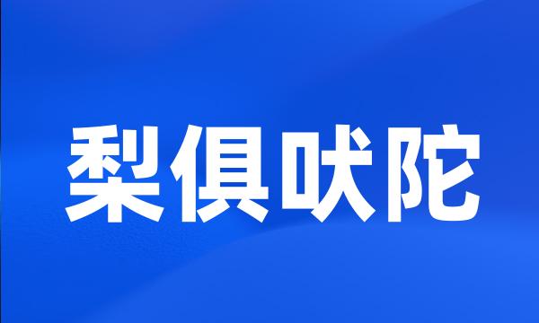 梨俱吠陀