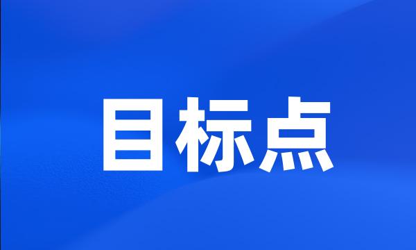 目标点