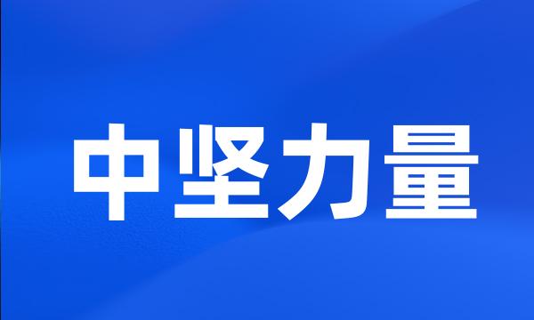 中坚力量