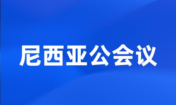 尼西亚公会议