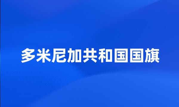 多米尼加共和国国旗