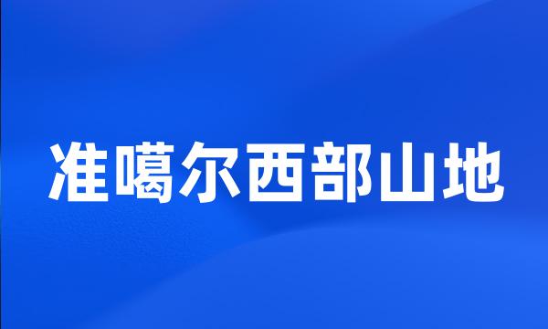 准噶尔西部山地