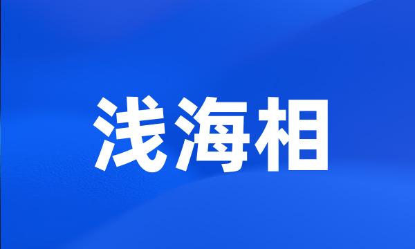 浅海相