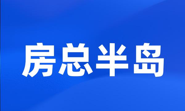 房总半岛