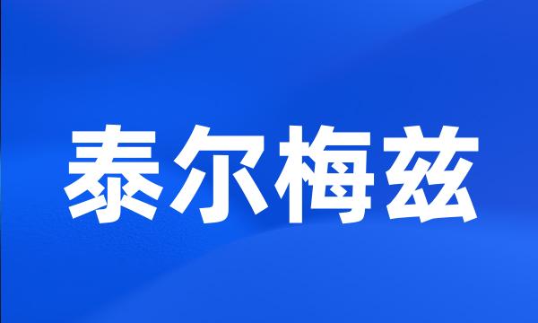 泰尔梅兹