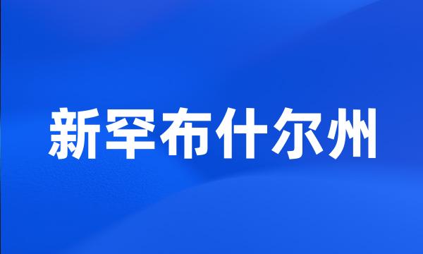 新罕布什尔州