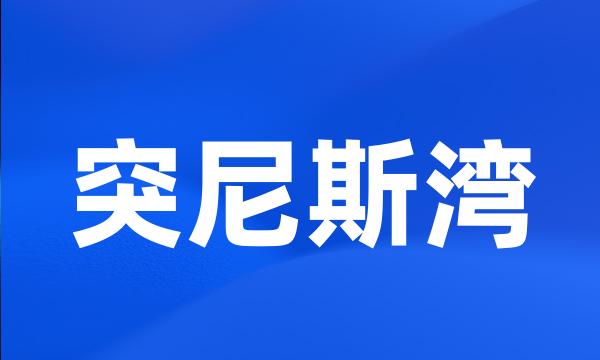 突尼斯湾