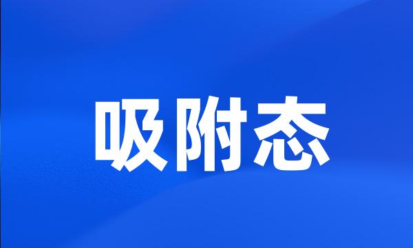 吸附态