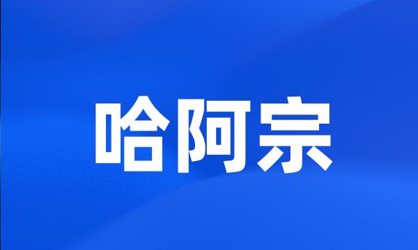 哈阿宗