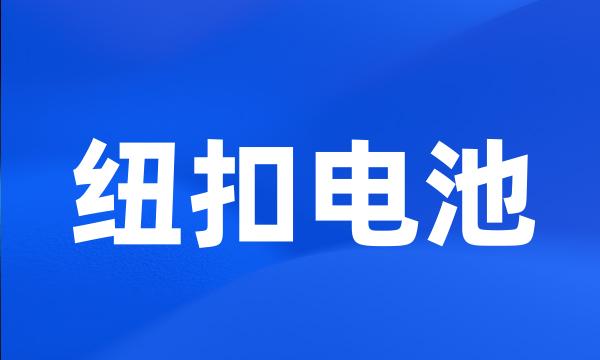 纽扣电池