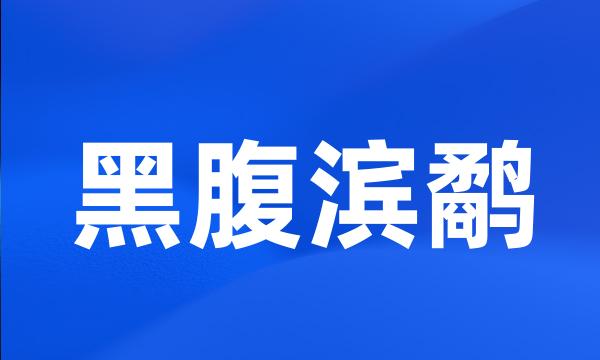 黑腹滨鹬