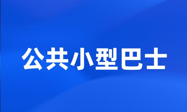 公共小型巴士