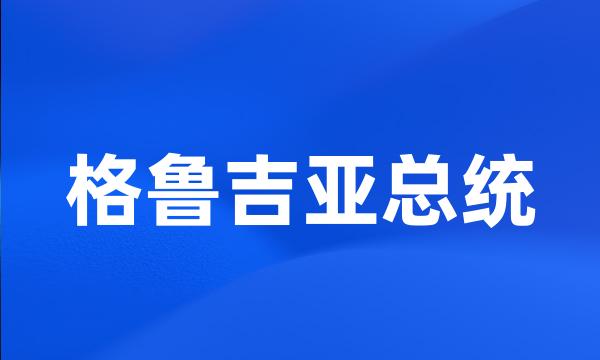 格鲁吉亚总统