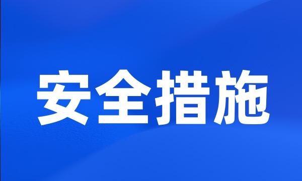 安全措施