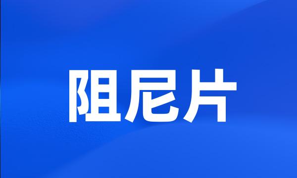 阻尼片