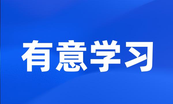 有意学习