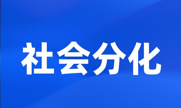 社会分化