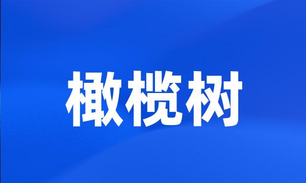 橄榄树