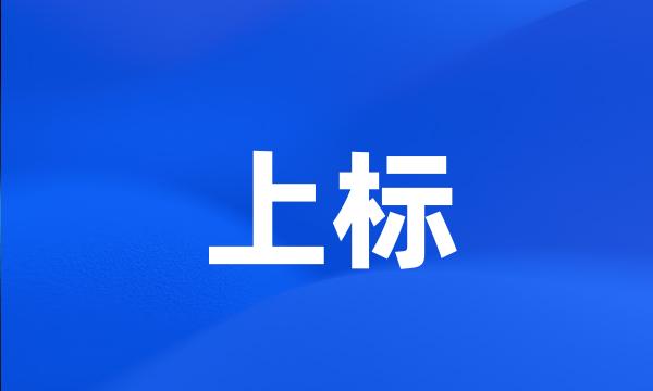 上标