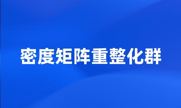 密度矩阵重整化群