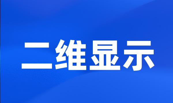 二维显示