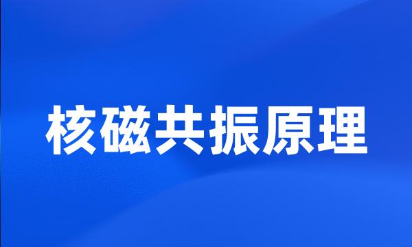 核磁共振原理