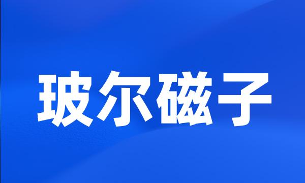 玻尔磁子