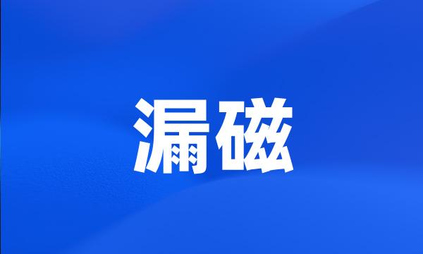 漏磁