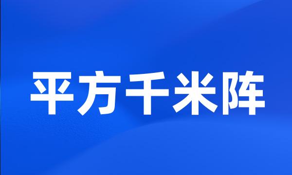 平方千米阵