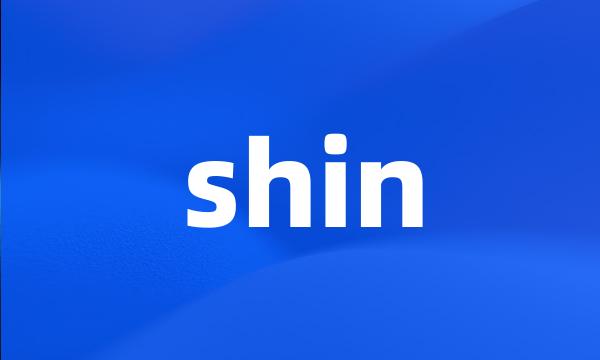 shin