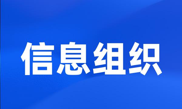 信息组织