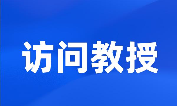 访问教授