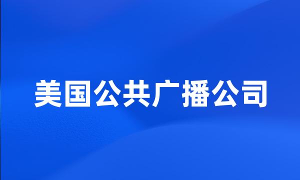 美国公共广播公司