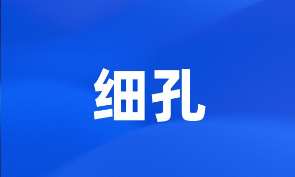 细孔