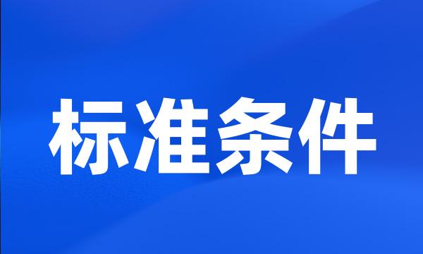 标准条件