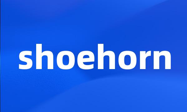 shoehorn