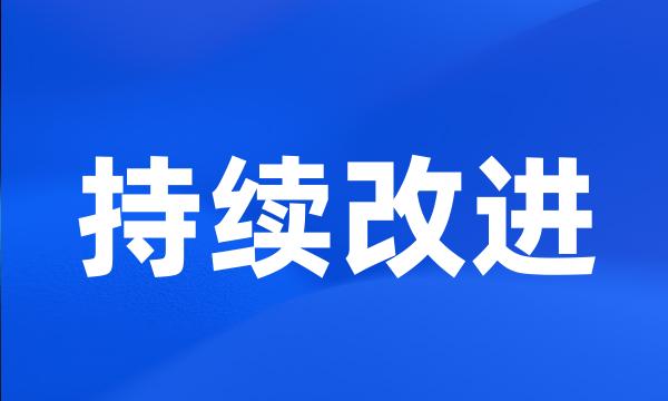 持续改进